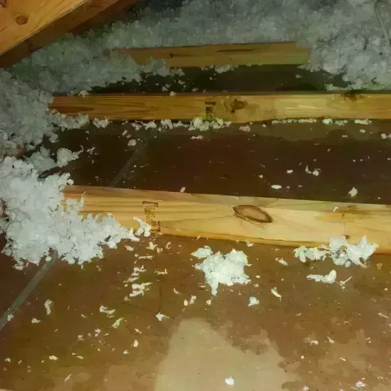 Attic Water Damage in Mathews, LA